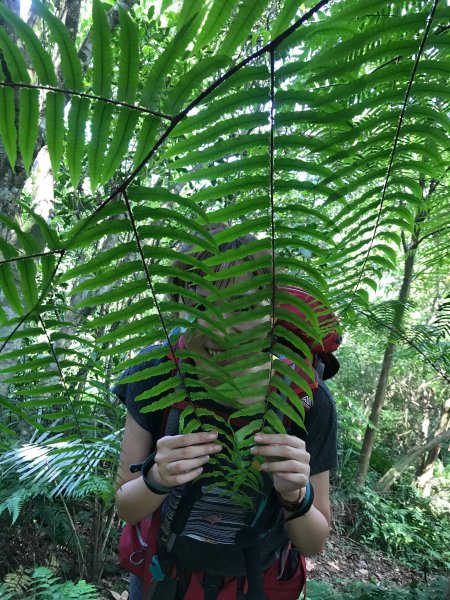 【淡蘭中路】全線連走(經泰平) | 是旅行也是修行1035298