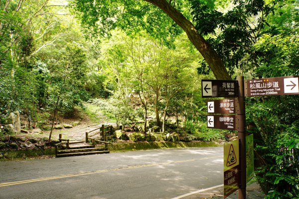 南投 仁愛 松風山3052492