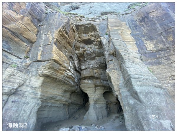 鼻頭角秘境步道、鼻頭角山、鼻頭山 O型一圈2915791
