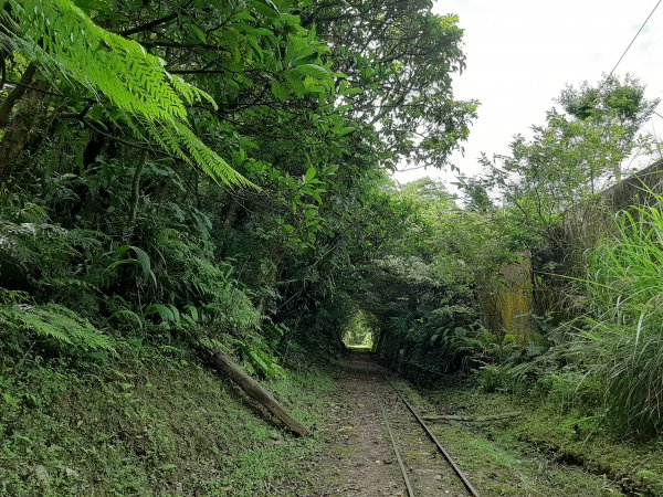 小百岳寶石〡No.10 五分山968806