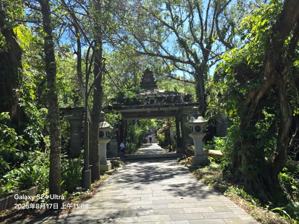 2025-08-17臺北大縱走第七段：世界山莊至飛龍步道政大後山2862370