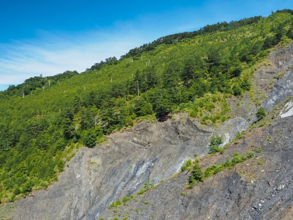 [百岳]能高越嶺逆走與奇萊南峰1042887