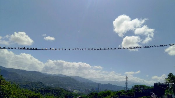 臺北大縱走第六段中華科大至捷運麟光站1483146