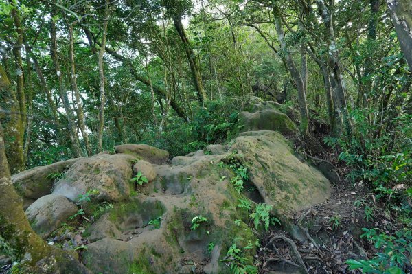 新北 石碇 皇帝殿東峰2628224