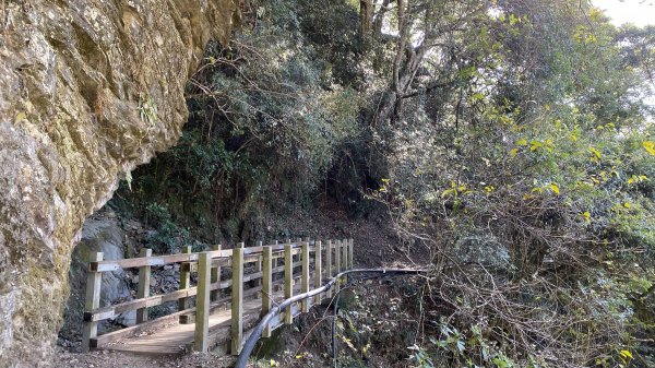 [南投信義八通關古道|雲龍瀑布清涼野餐1257140