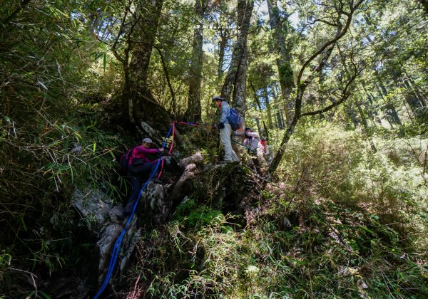 閂山之門.鈴鳴之鑰660243