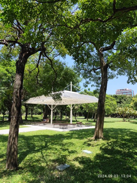 龍山河濱公園、大安森林公園、大港墘公園、花博公園圓山園區【走路趣尋寶】【臺北健走趣】2587910