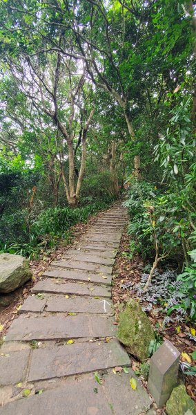 2024-06-15觀音山【福隆山、尖山(占山)登山步道】O走2528236