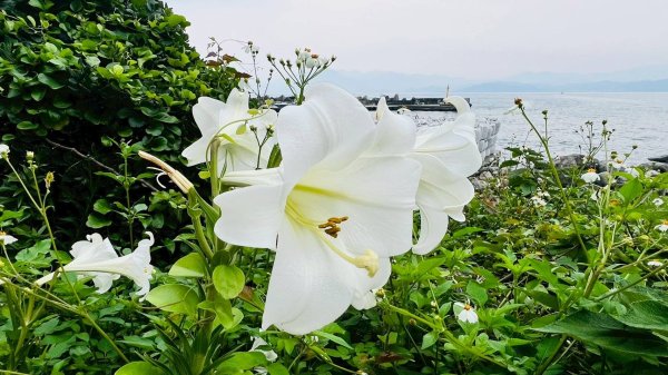 🌈5/1(四)基隆嶼❤️FB：熊熊趴爬走🌈2774282