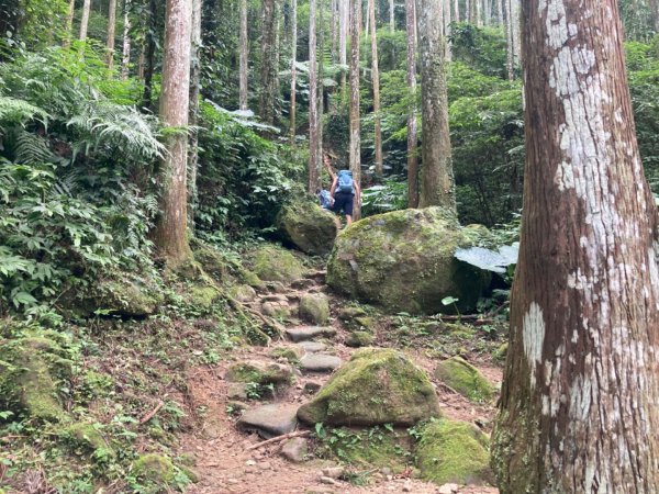 五指山登山步道2293188