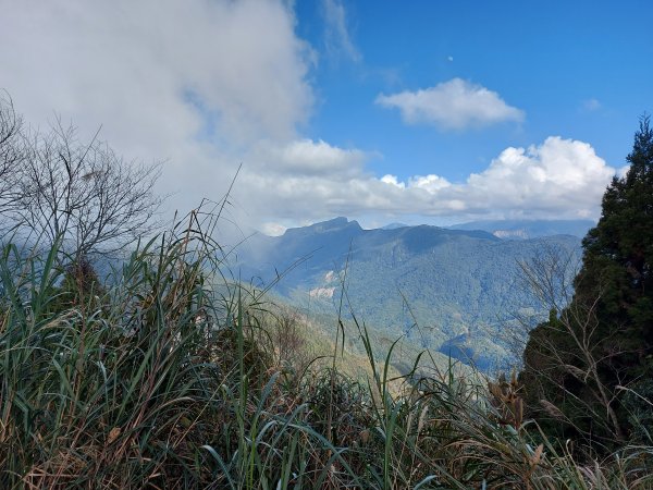 雪見大板根 北坑山1245165