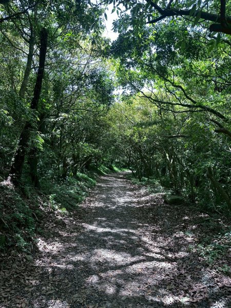 台北大縱走第一段2766807