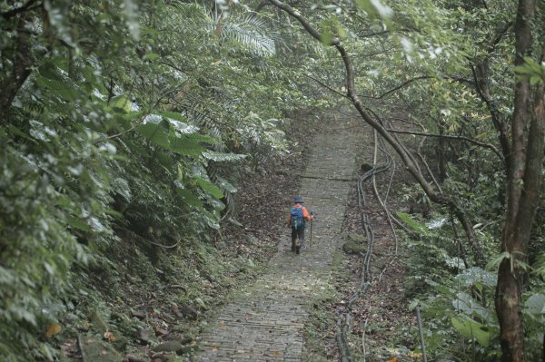 傳說中的「魔神仔洞」| 菁桐古道（汐止段＆平溪段）2721264