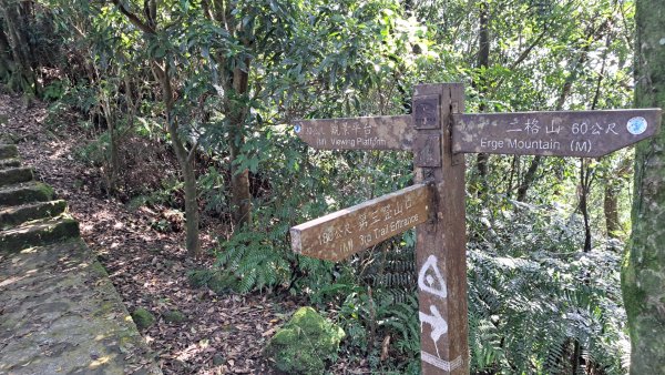 二格山登山步道草湳線2574065