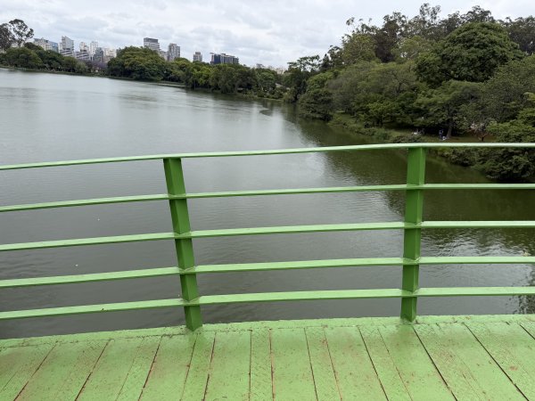 [紐約馬之行-69] 2025_1116 伊比拉布埃拉公園-下2955183