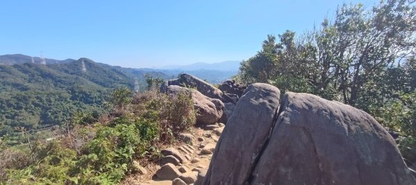 內湖金面山22690019