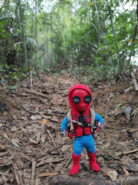 2024.04.14 倒別牛登中坑山飛鳳山O型2922824