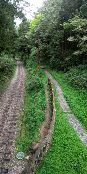 阿里山山脈~~塔山976780