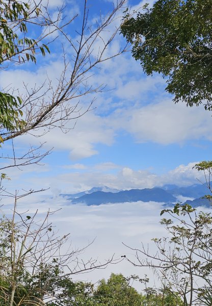 【馬年走馬山，馬到就成功！】🐴馬年馬路要走，馬那邦🏔️也要登！O繞11K，爬升900M，🥾腿在2977188