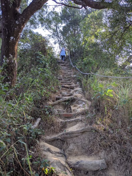 【高雄-小百岳】觀音山_稜線連峰O型縱走796545