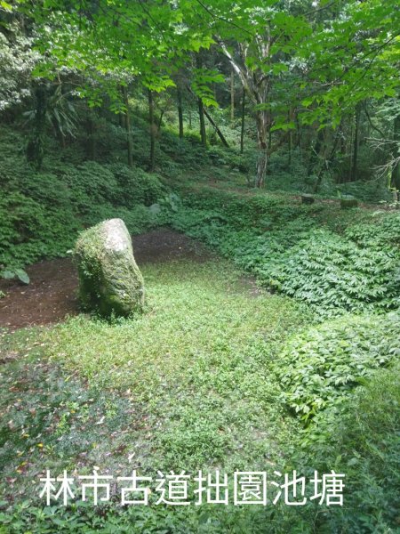 富士坪古道 - 林市古道 - 瑞泉古道O行訪大尖茶行遺址1748643