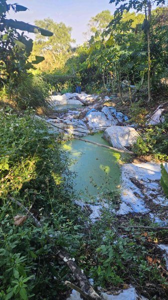 20251003高麗坑山-新高麗坑山-高麗坑山西北峰2903121