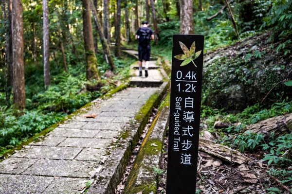 滿月圓森林步道2870081