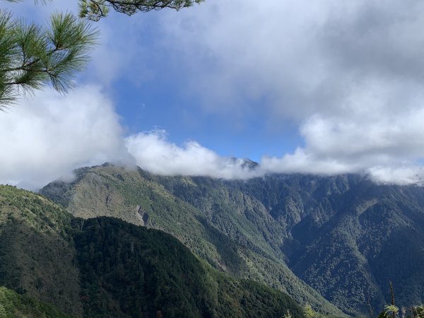 20201鹿林前山，鹿林山，麟趾山環走1206696