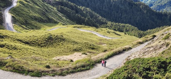 20220604 合歡主峰、石門山、合歡尖山2314526