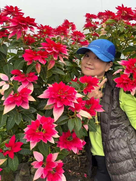 小百岳馬那邦山(H1407m)加碼採草莓2694715