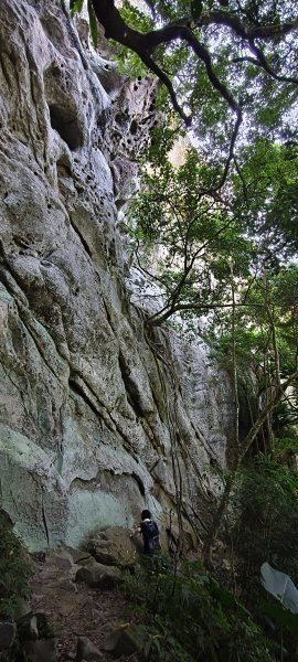 2025/08/23_白石山步道+石龜坑山O型2871083