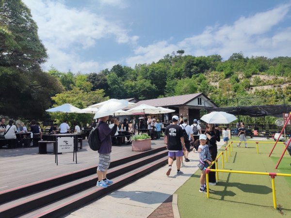 京都府三重縣天橋立3088196