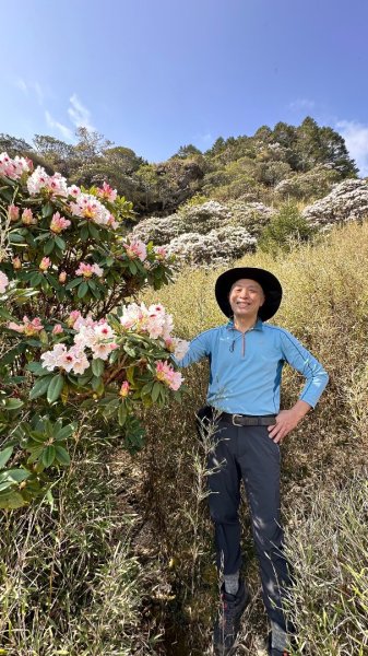 合歡東峰、小奇萊賞玉山杜鵑2542852