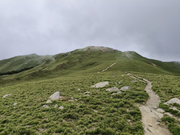 南投/花蓮-合歡北峰3053841