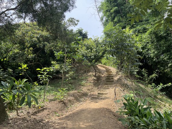 [皮皮獅探險隊-03/10] 2025_0706 犁頭山、文山步道2831470