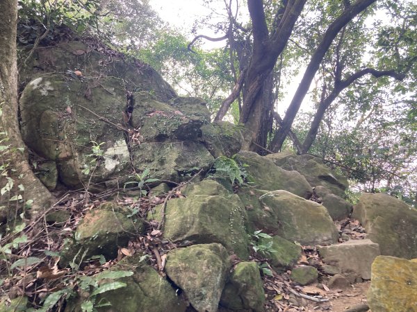 石門山登山步道2396659