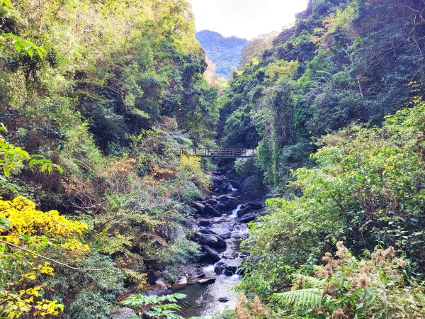 【戀戀楓紅】霞喀羅賞楓行2675610