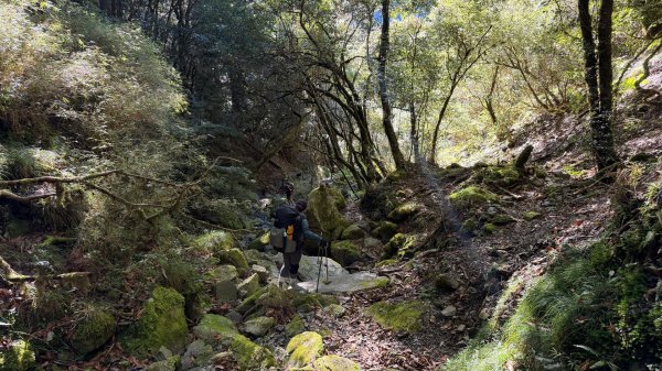 中央尖山 2025 11/7 三天兩夜2935762