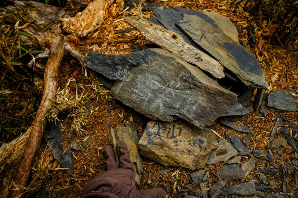 [冬訪大霸聖山岳參行]-榮耀桂冠B'bu' Papak聖稜精選輯2974824