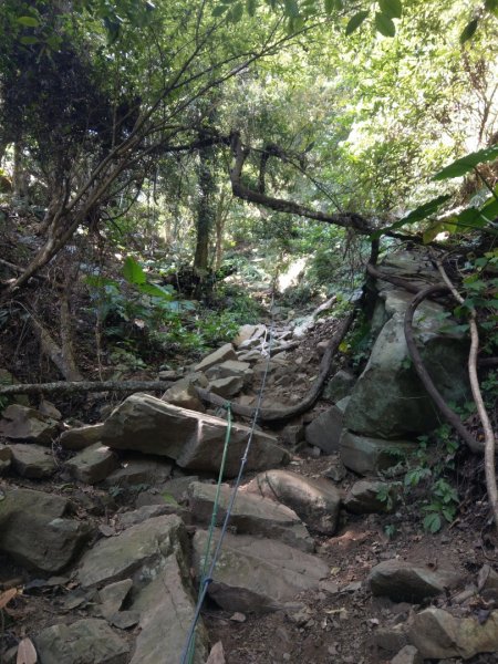 水雲三星之虎子山（虎山）1166526