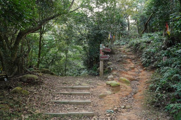 苗栗 銅鑼 三角山、長坑山、雙峰山、員屯山2456199