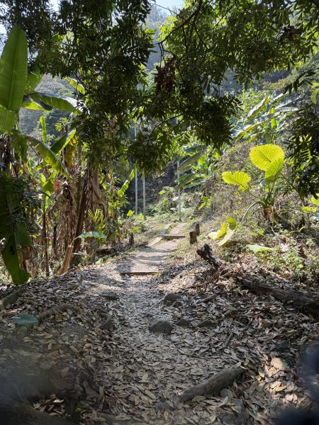1150322雲嘉8連峰3023020