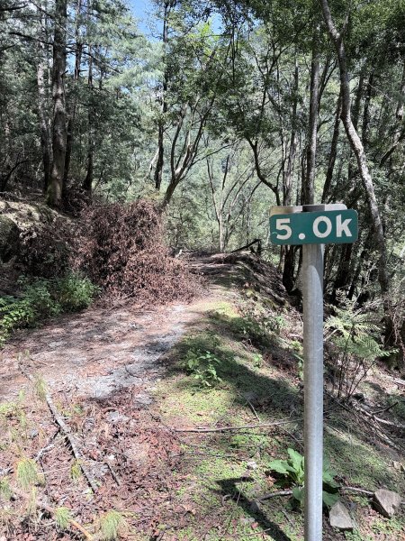 楠梓仙溪林道悠遊    2025.09.142886433