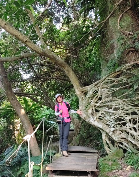 新店碧潭輕鬆走2992001