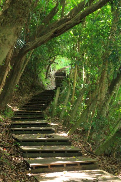 挑啊挑! 挑過山道 20190606759108