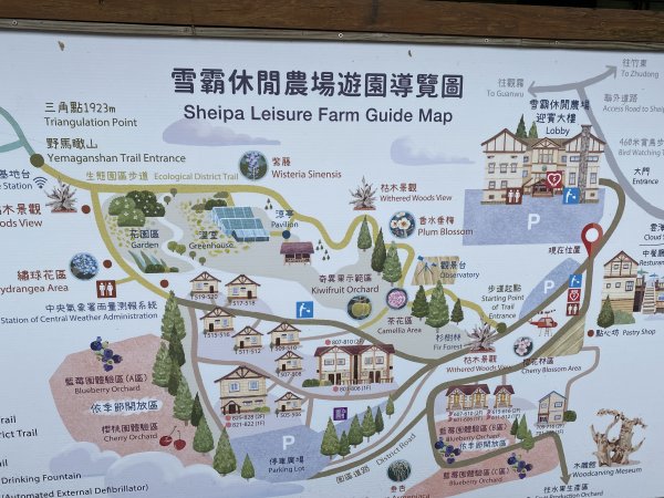 20250705-Ep.01野馬瞰山步道-2025森遊竹縣皮皮獅探險隊2851262