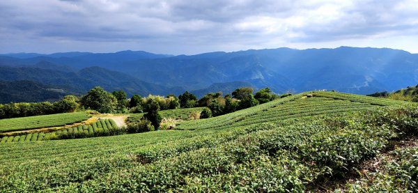 石碇皇帝殿（西峰，東峰），天王峰，坪林獅公髻尾山，文山指南宮千階步道（竹柏參道），十六分山，貓空尖1971326