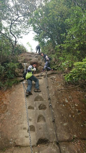 20180404猴兒來爬皇帝殿303089