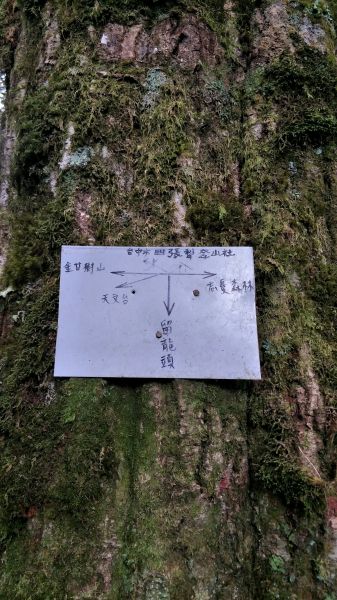 金柑樹山&忘憂森林步道20171023193221