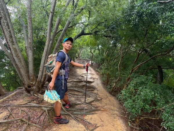 鳳崎落日步道【完登小百岳前的小暖身】2930756